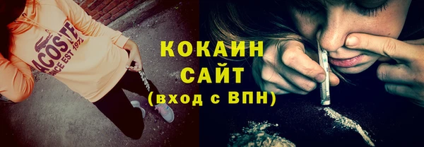 дживик Елизово