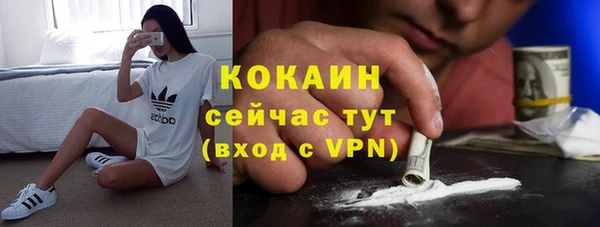 дживик Елизово