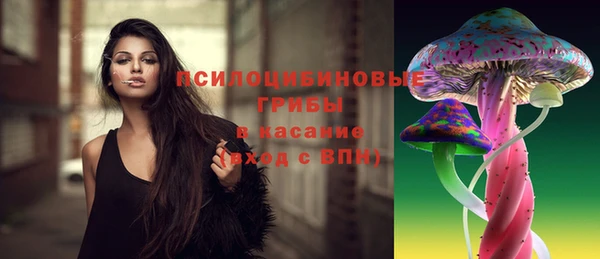 дживик Елизово