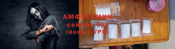 эйфоретик Ельня