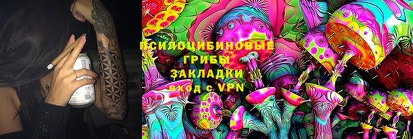 дживик Елизово