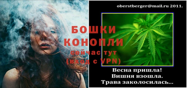 эйфоретик Ельня