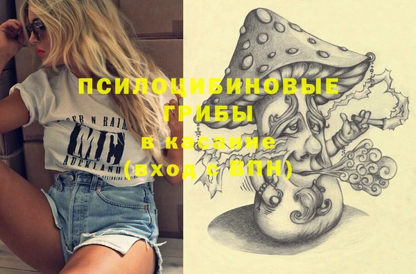 эйфоретик Ельня