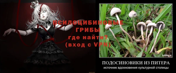 скорость mdpv Елабуга