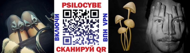 Купить где  Ишим  Галлюциногенные грибы мицелий 